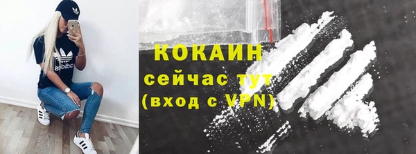 Альфа ПВП Каменка