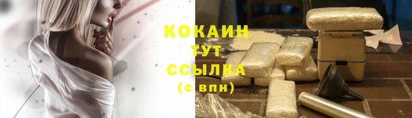 Альфа ПВП Каменка