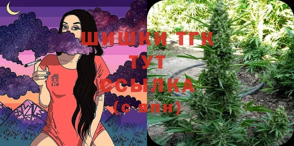 PSILOCYBIN Каменногорск