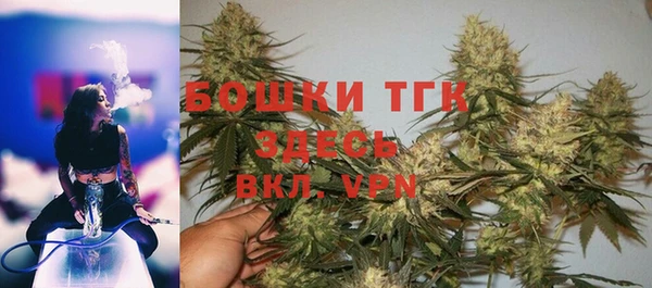 PSILOCYBIN Каменногорск