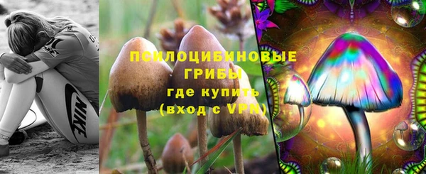 Альфа ПВП Каменка