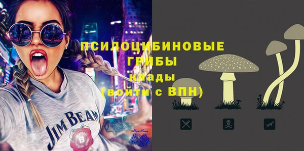 PSILOCYBIN Каменногорск