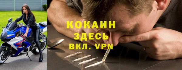 Альфа ПВП Каменка